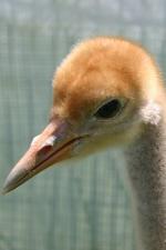 Black White Black - 12th June 2014 Black White Black - 12th June 2014